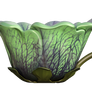 Green flower teacup, png overlay.