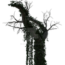 Dead Tree with Vines 4, Png Overlay.