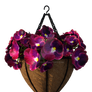 Hanging pot with flowers 1, png overlay.