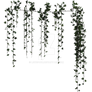 Hanging Ivy 4, Png Overlay.