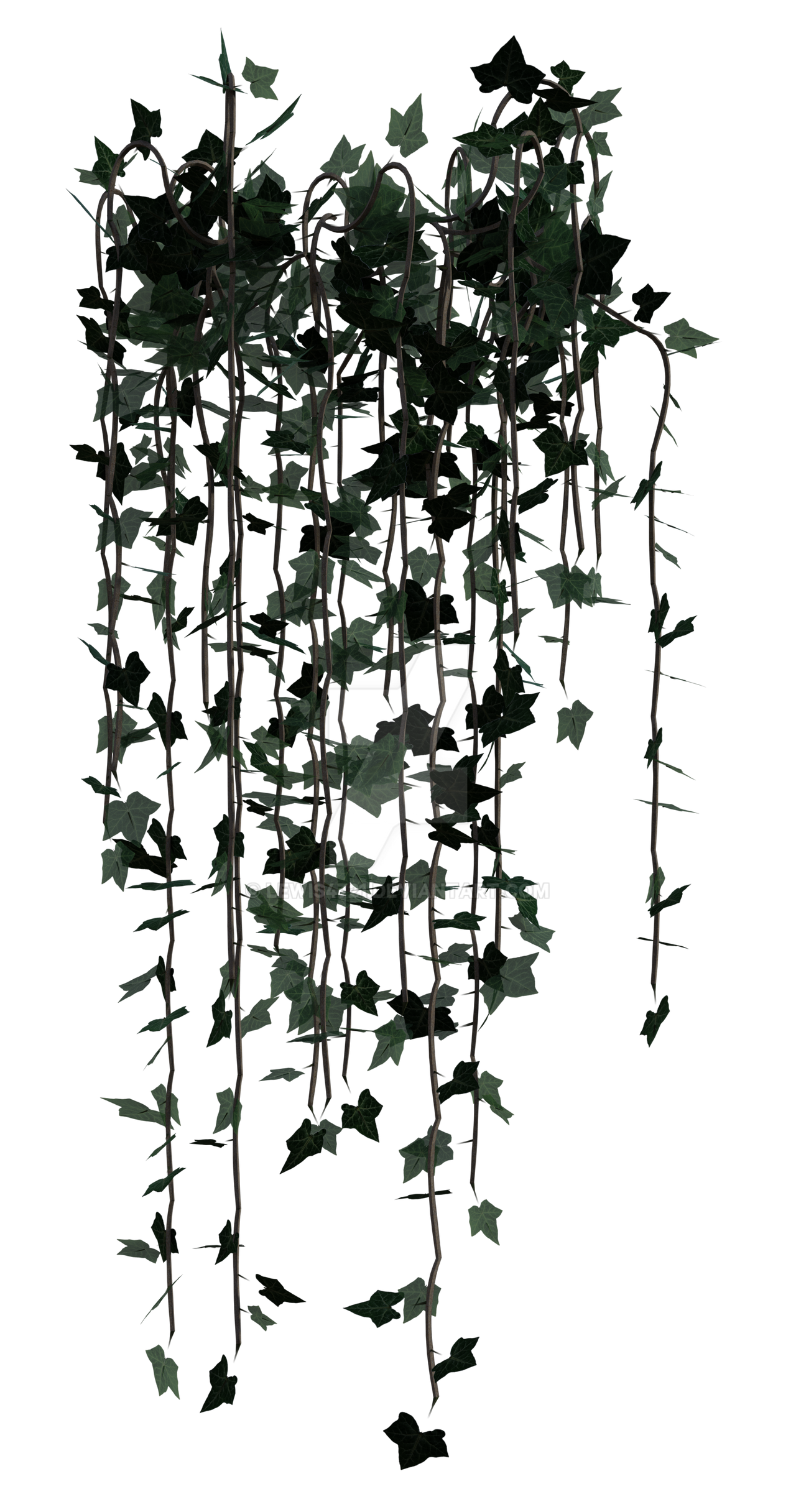 Hanging Vines Png by Moonglowlilly on DeviantArt