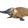 Platypus 1, Png Overlay.
