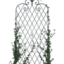 Trellis with Vines, Png Overlay.