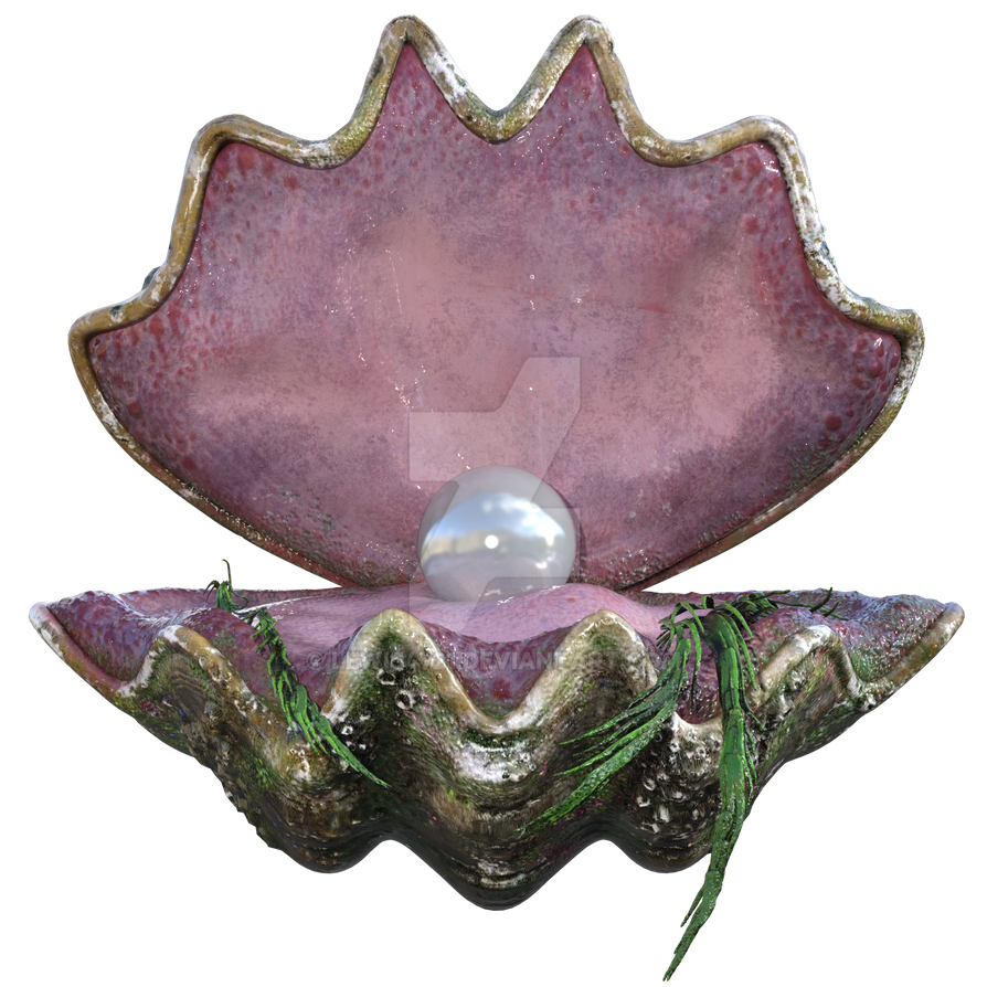 Clam shell discount pearl