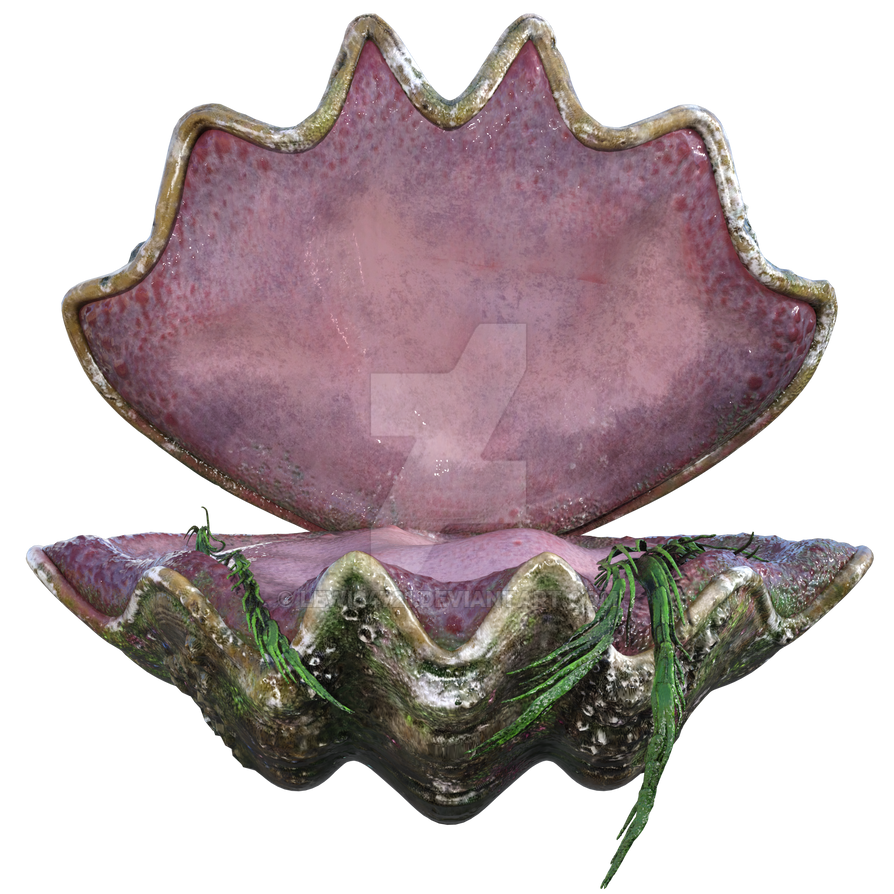 Clam Shell Prop, Png Overlay. by lewis4721 on DeviantArt