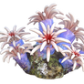 Tropical Coral 3, Png Overlay.