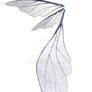 Fae wing 8, png overlay.