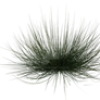 Grass clump 2, png overlay.