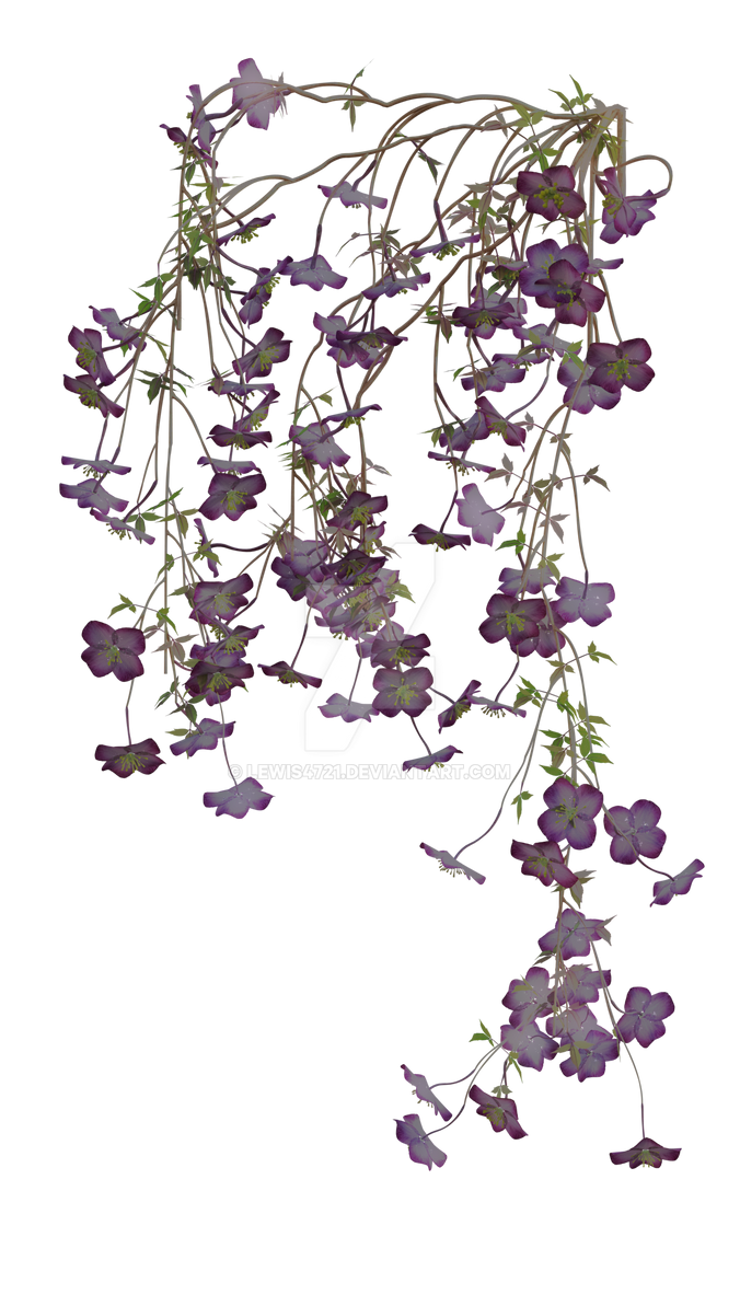 Flower Vine 9, png overlay. by lewis4721 on DeviantArt