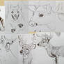 Deer And Stuff [Sketches]