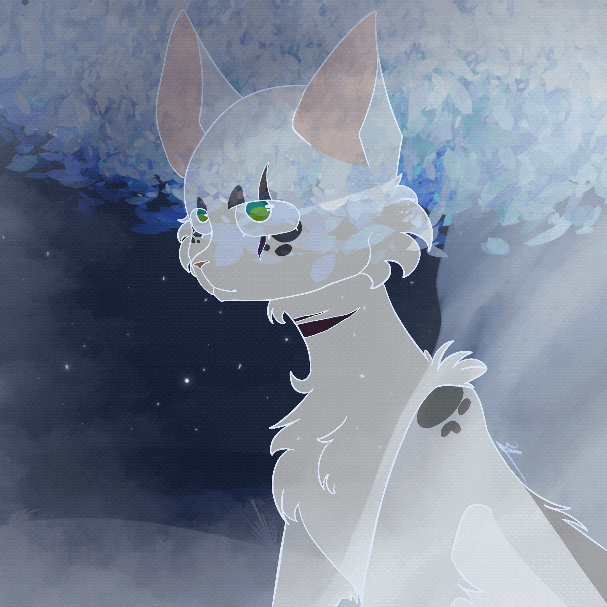StarClan~Warrior Cats~Gif by Kedokuki on DeviantArt