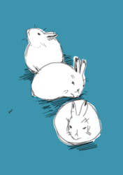 no regrets just hares