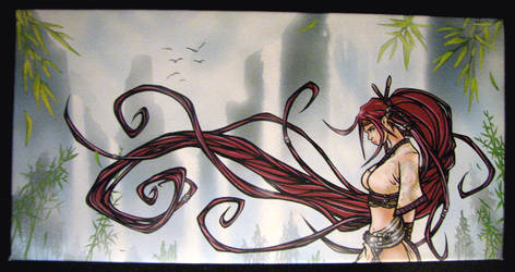 heavenly sword nariko