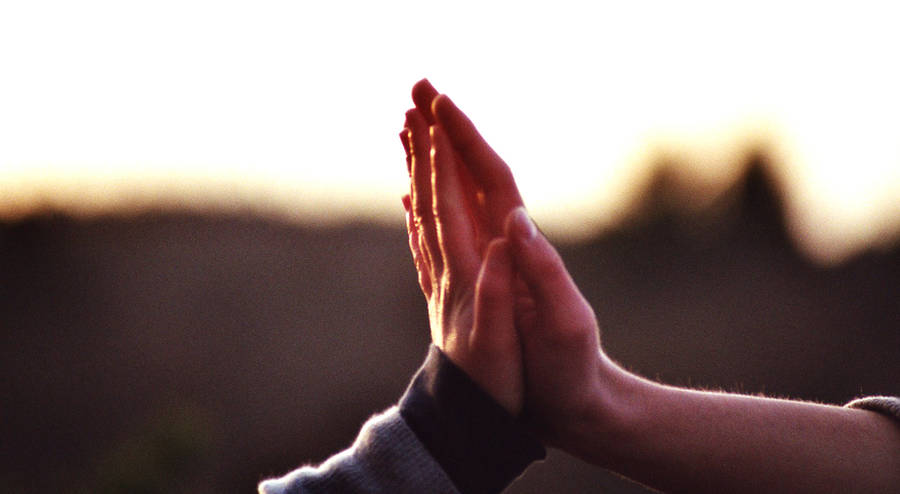 please let me hold your hand by pippimuckel