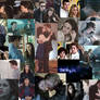Twilight Photo Collage 2