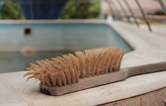 A giant's toothbrush