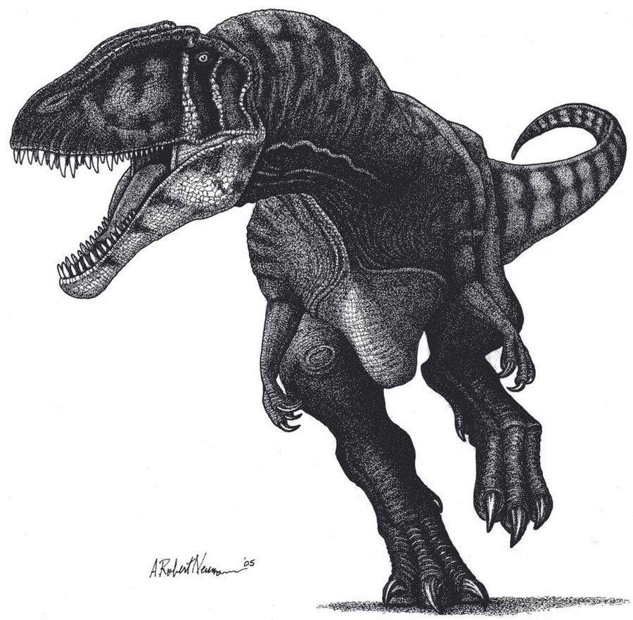 Carcharodontosaurus By ARNeumann On DeviantArt carcharodontosaurus-by-arneumann-on-deviantart