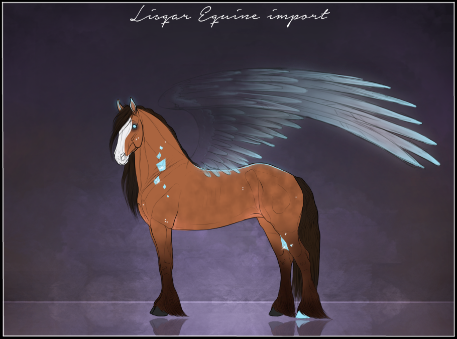 Lisqar Equine - friesian import