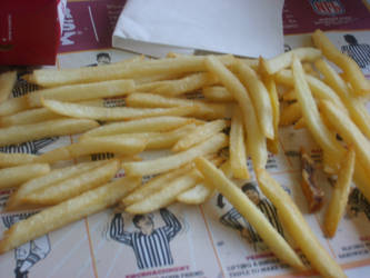 fries