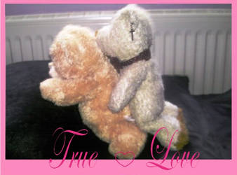 Teddy Love I by rosa-mondhase
