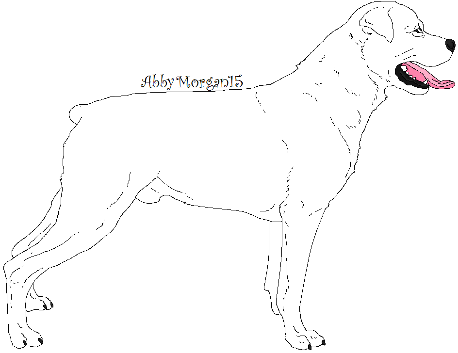 Rottweiler Lineart by AbbyMorgan15 on DeviantArt