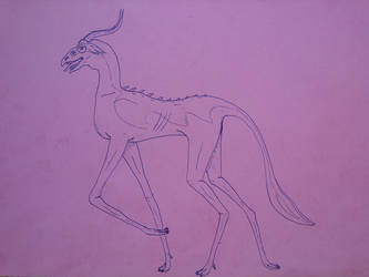 A'udery (swamp gazelle)