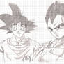 DB Z Goku and Vegeta