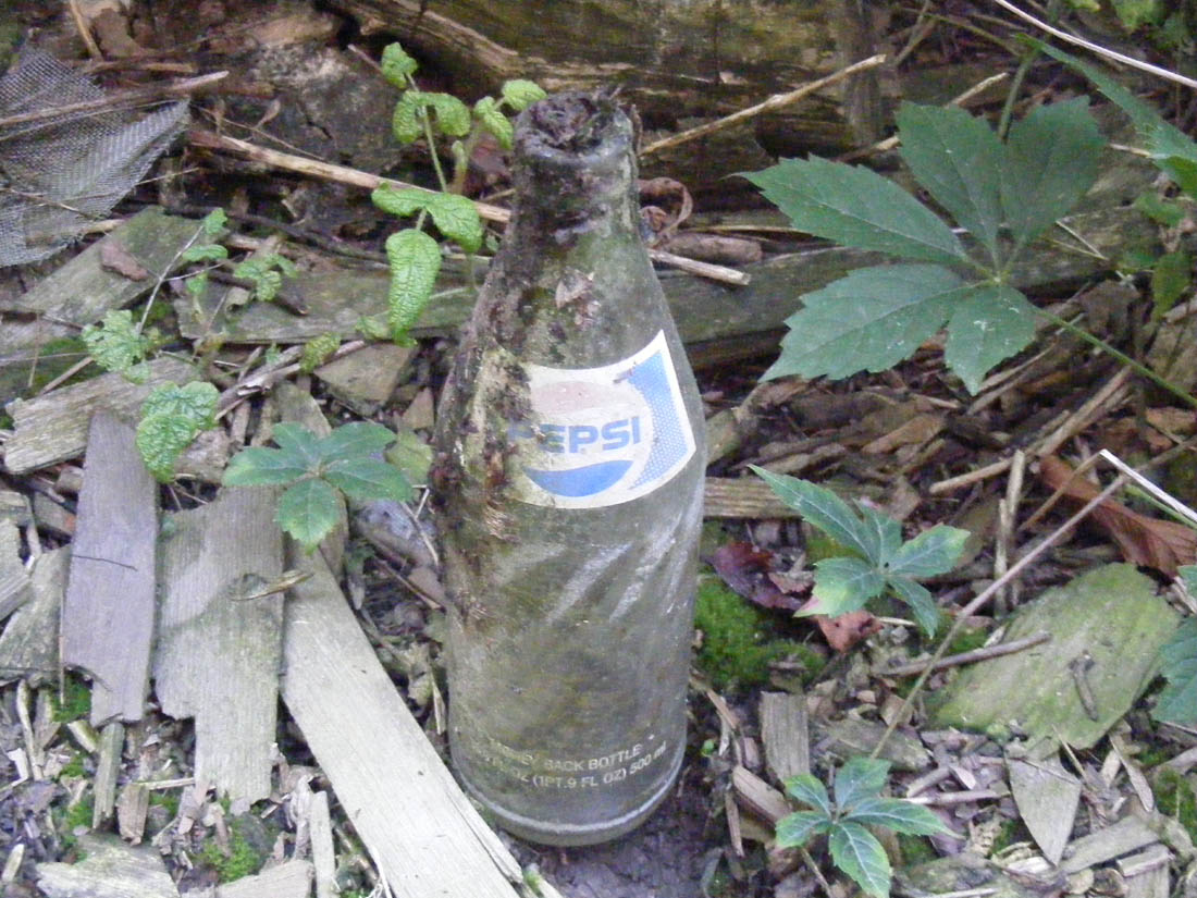 Old bottle