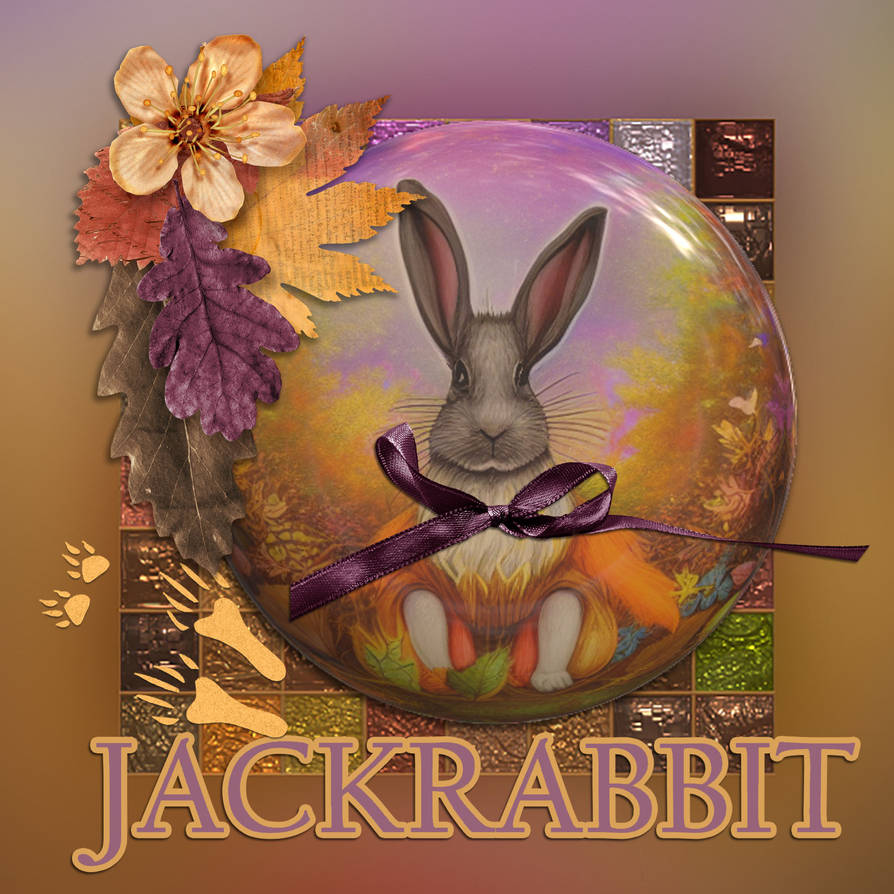 Jackrabbit Card By 77tradewinds On DeviantArt