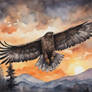 Watercolor-Sunset Hawk