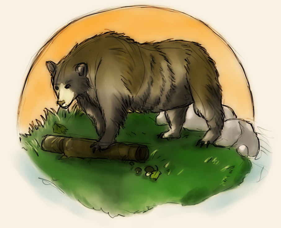 A bear