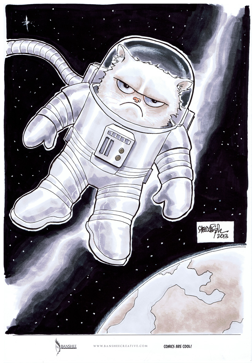 Grumpy Cat In Spaaaaaaace