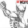 Wolverine Blank Cover