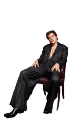 Harry Styles #1 PNG