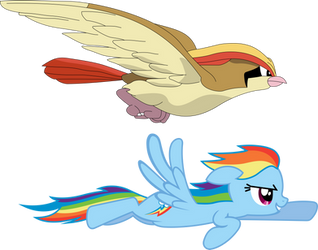 Rainbow Dash And Pidgeot