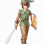 Zelda adventure of Link