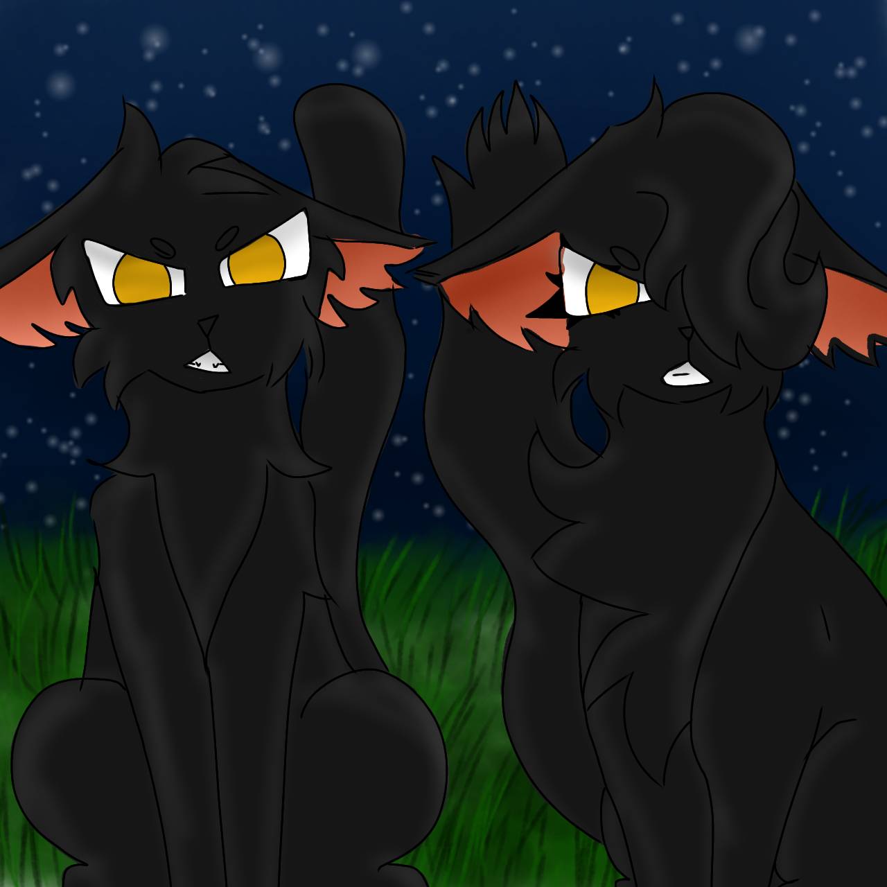 Nightcloud and Breezepelt by Alice250712 on DeviantArt