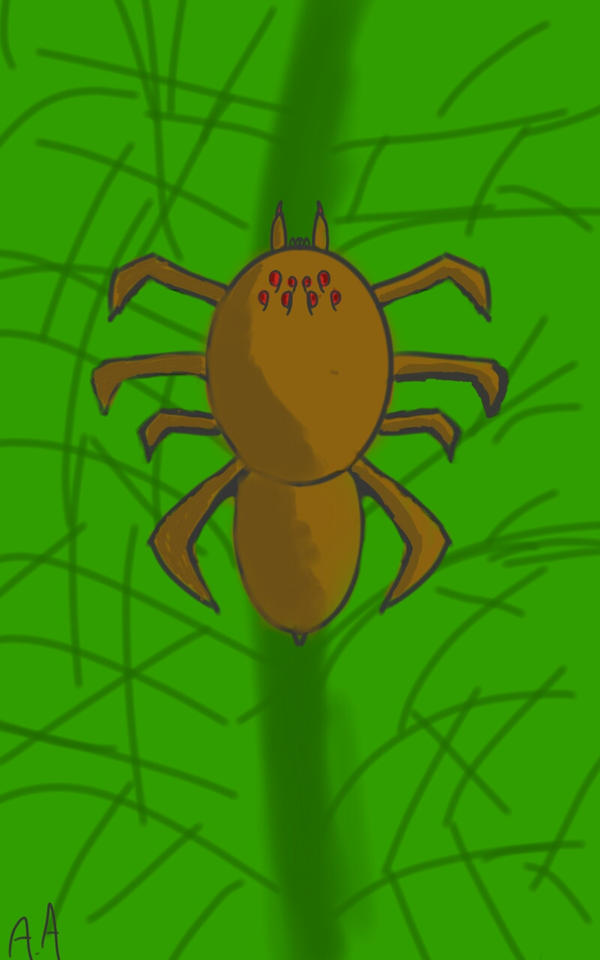 Spider Insect Deviantart SPIDER by alexantypov on DeviantArt