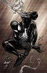 Spiderman Black Suit