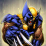 Wolverine Rage