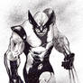 WOLVERINE SKETCH...