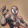 TONED SPIDEY SKETCH