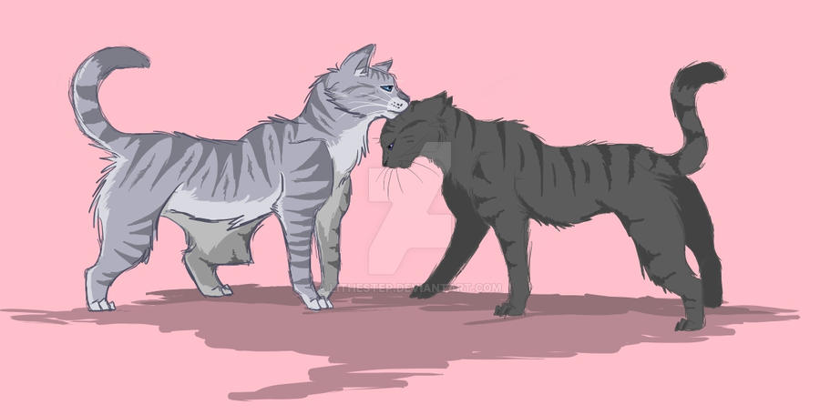 Jayfeather and Cinderheart