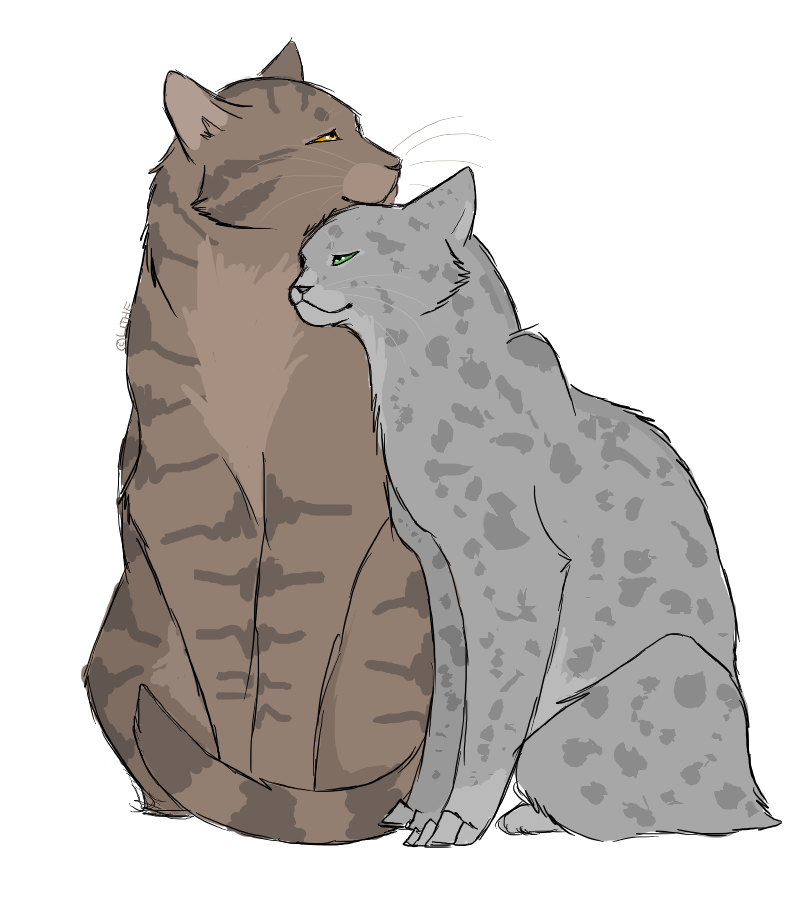 Dustpelt and Ferncloud