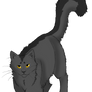 Graystripe