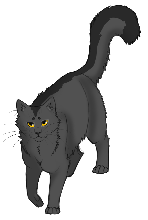 Graystripe