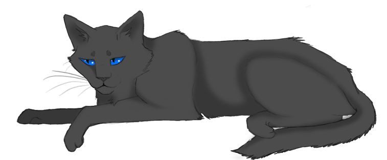 Cinderpelt v2