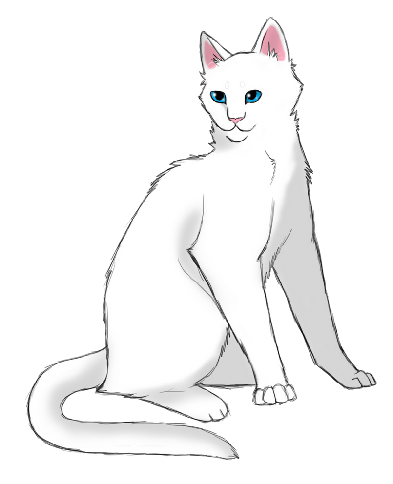 Картинки котов воителей для срисовки, при создании открыток