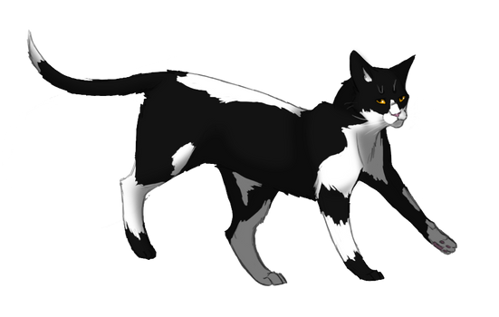 Swiftpaw