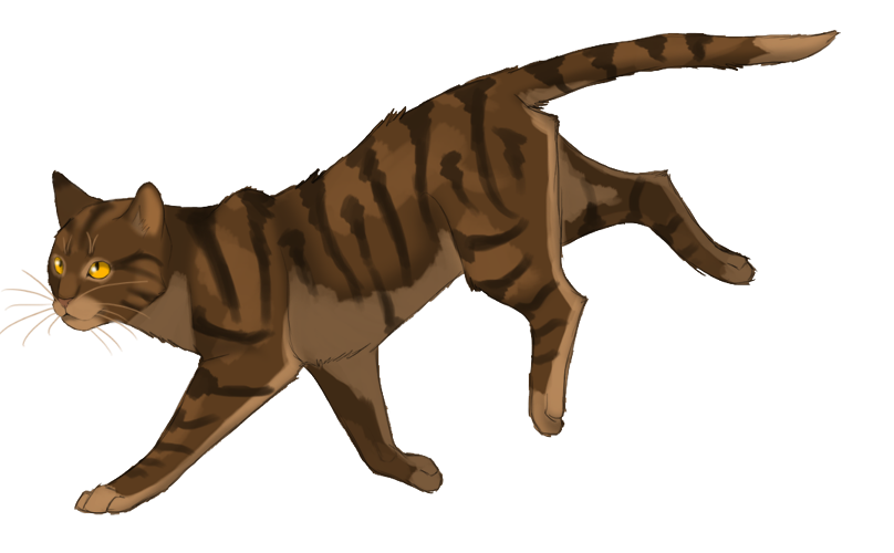 Leafstar By Lithestep On Deviantart Leafstar By Lithestep On Deviantart